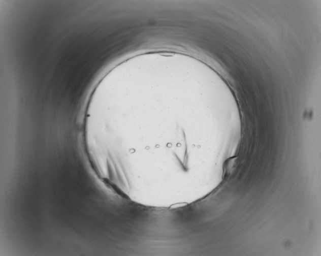 X0000102871536200809151223