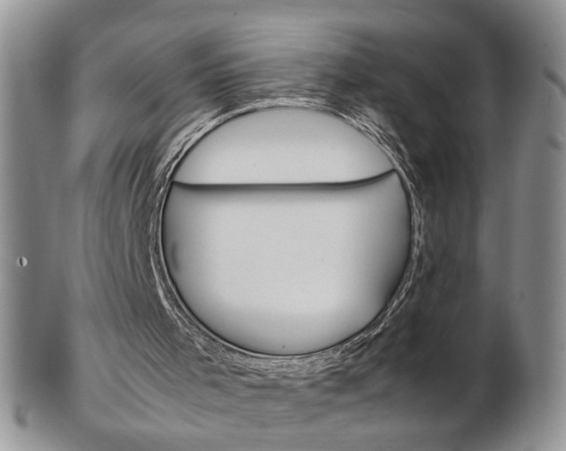 X0000103130001200808221052