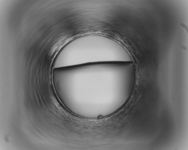 X0000103130002200808221052