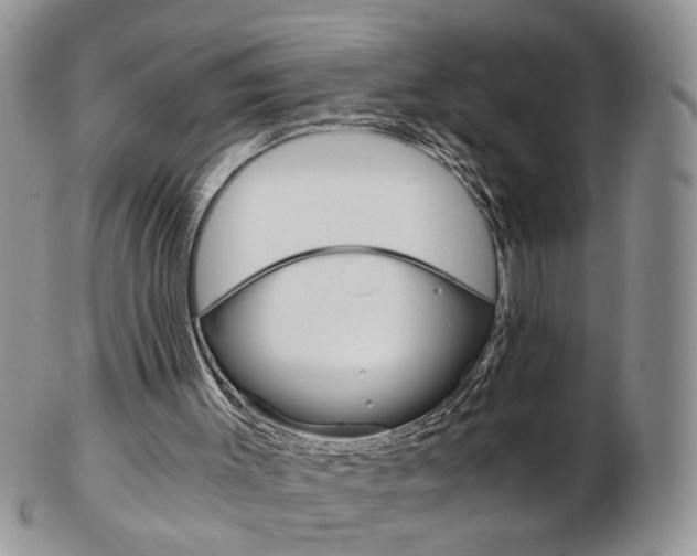 X0000103130003200808221052
