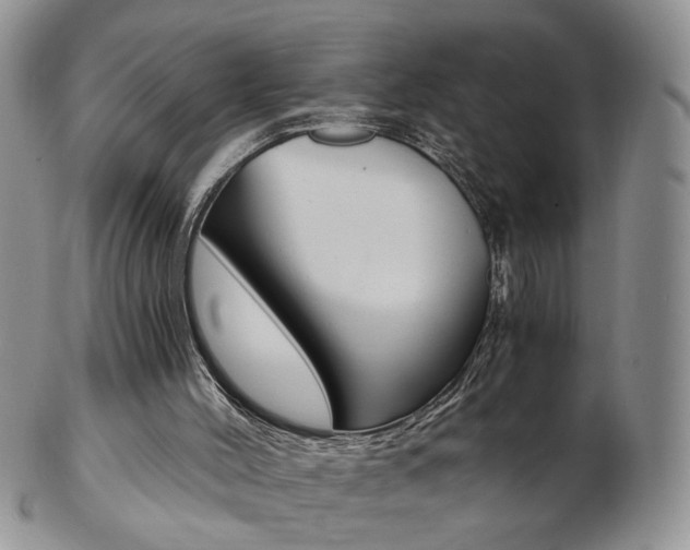 X0000103130004200808221052
