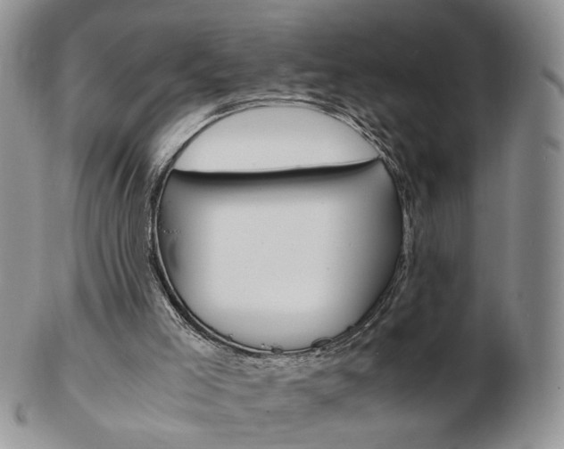 X0000103130005200808221052
