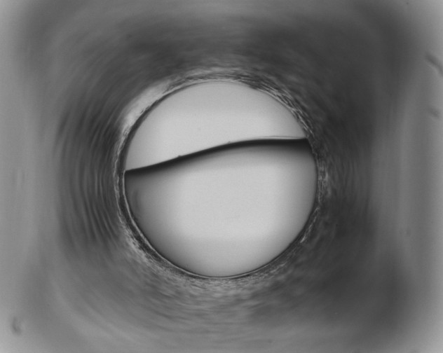X0000103130006200808221052