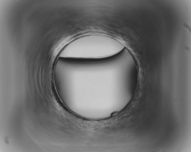 X0000103130007200808221052