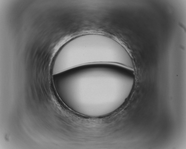 X0000103130008200808221052