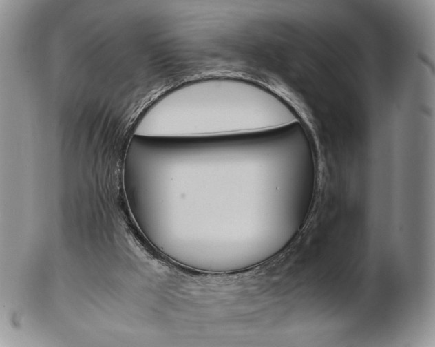X0000103130009200808221052