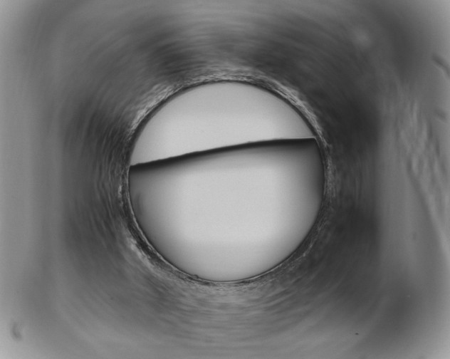 X0000103130010200808221052