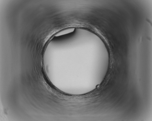 X0000103130011200808221052