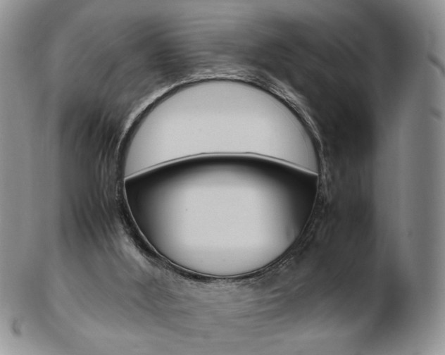 X0000103130012200808221052