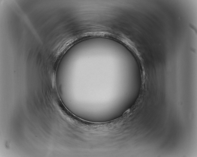 X0000103130013200808221052