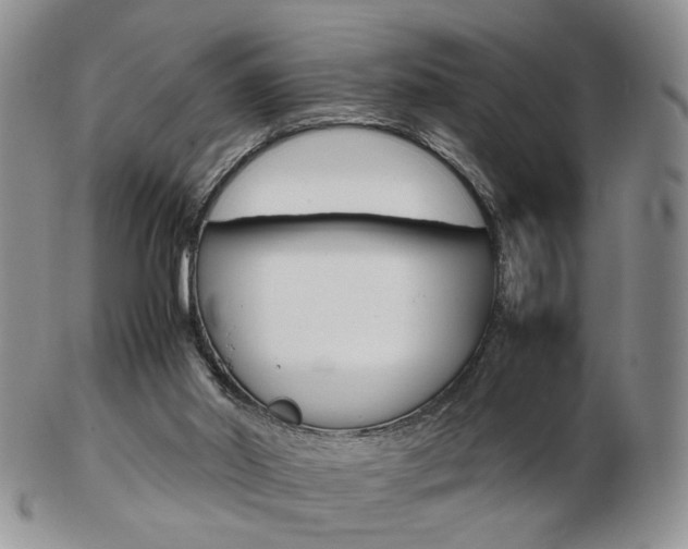X0000103130014200808221052