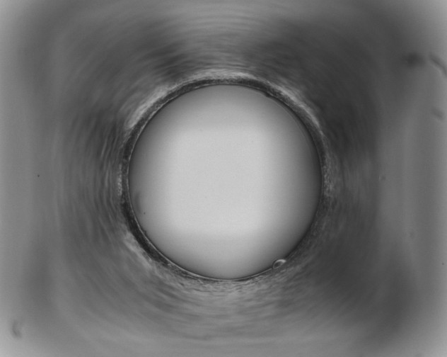 X0000103130015200808221052