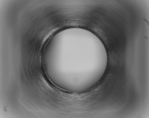 X0000103130016200808221052