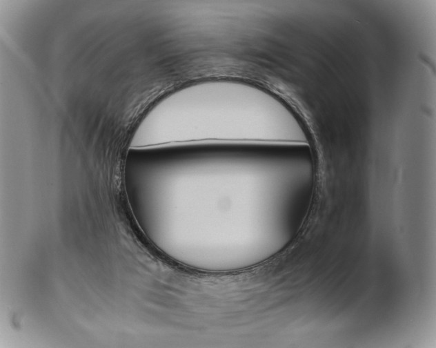 X0000103130017200808221052