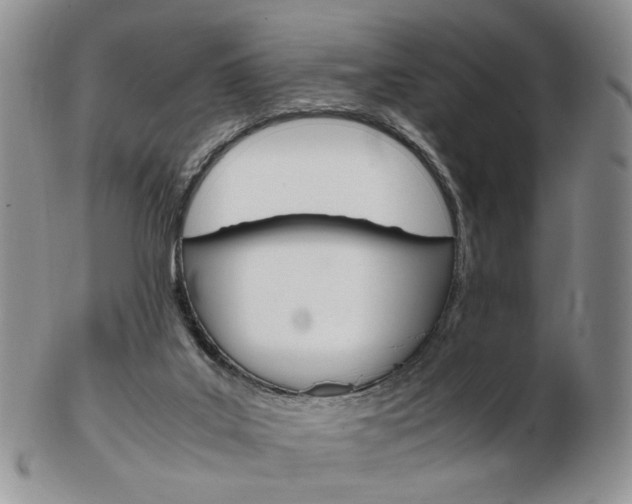 X0000103130019200808221052
