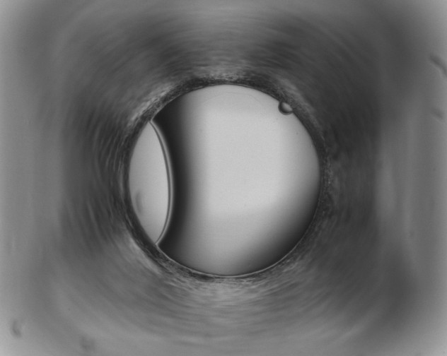 X0000103130020200808221052