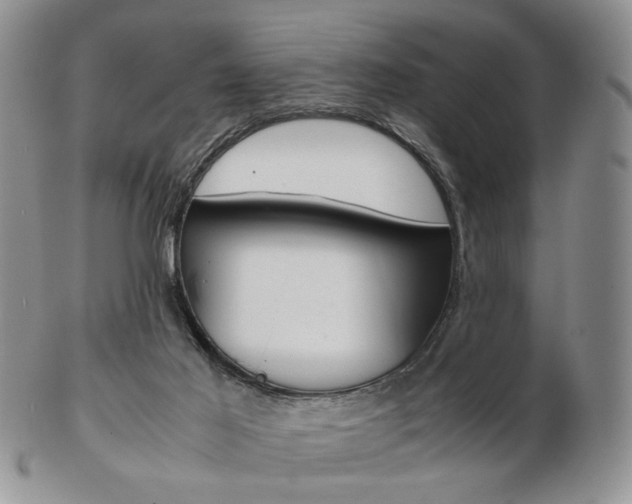 X0000103130021200808221052