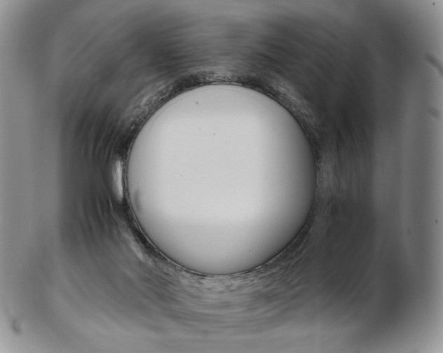 X0000103130022200808221052