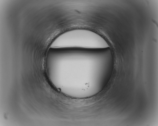 X0000103130023200808221052
