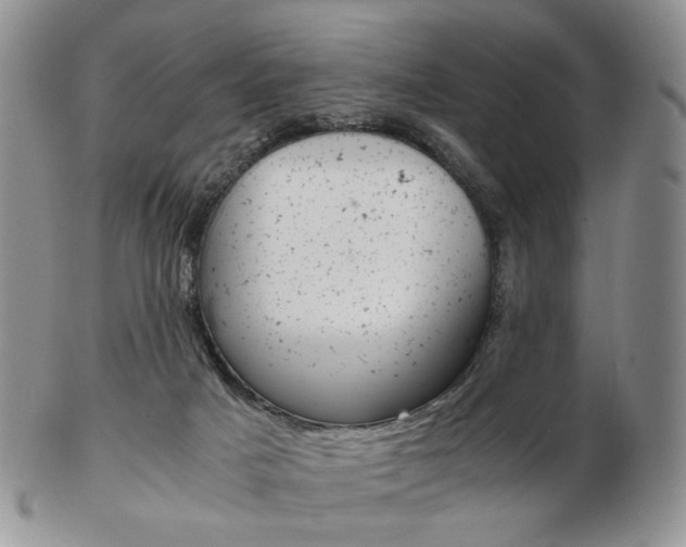 X0000103130025200808221052