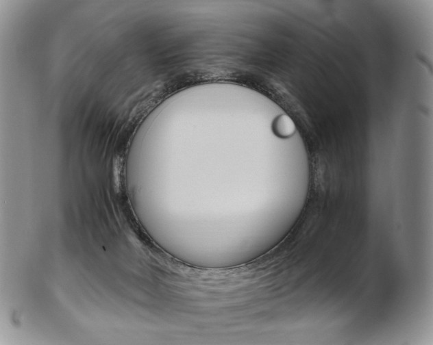 X0000103130026200808221052