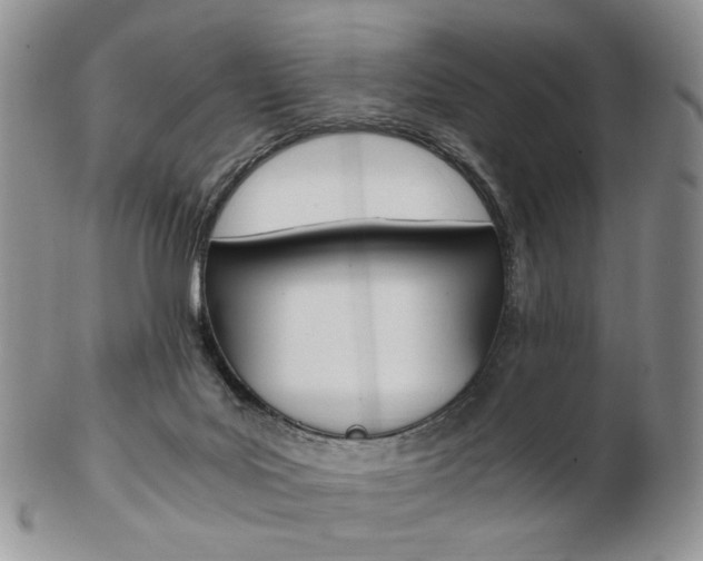 X0000103130027200808221052