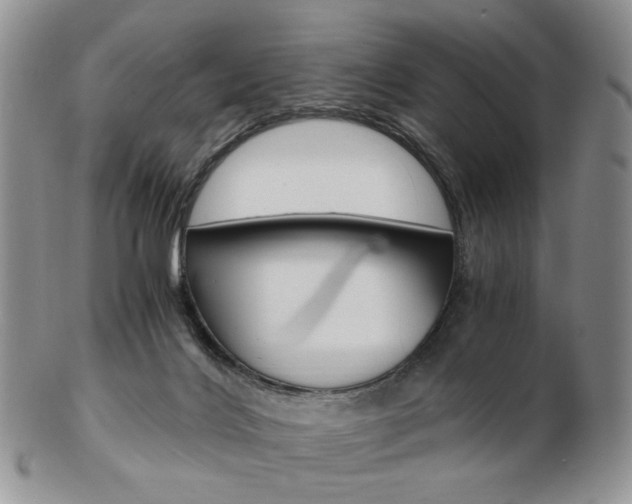 X0000103130028200808221052