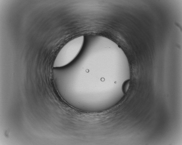 X0000103130029200808221052