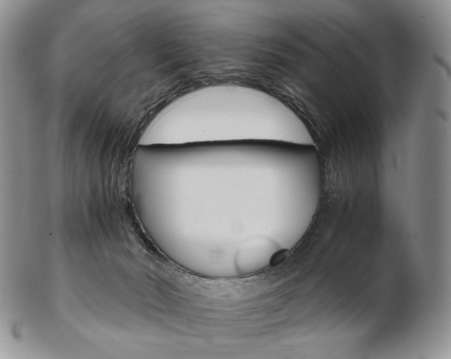 X0000103130030200808221051