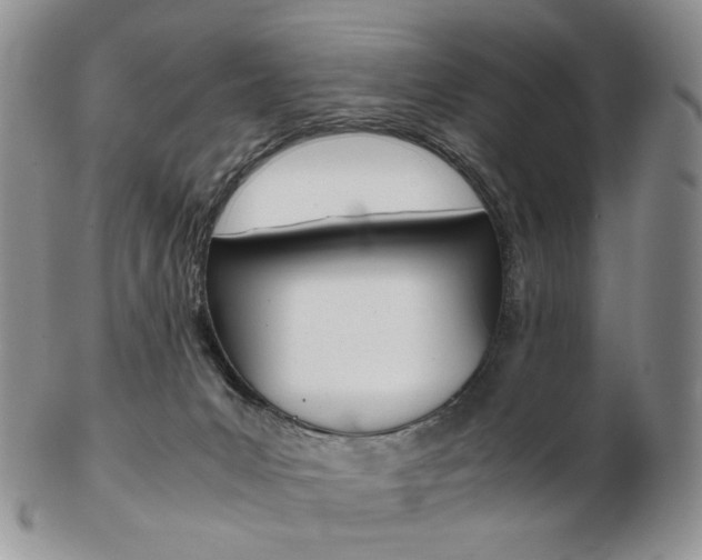 X0000103130031200808221051