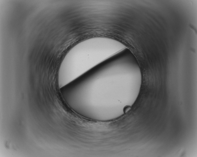 X0000103130032200808221051