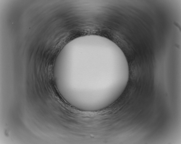 X0000103130034200808221051