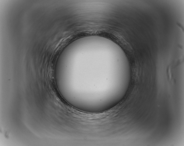 X0000103130035200808221051