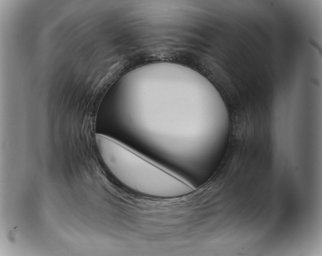 X0000103130036200808221051