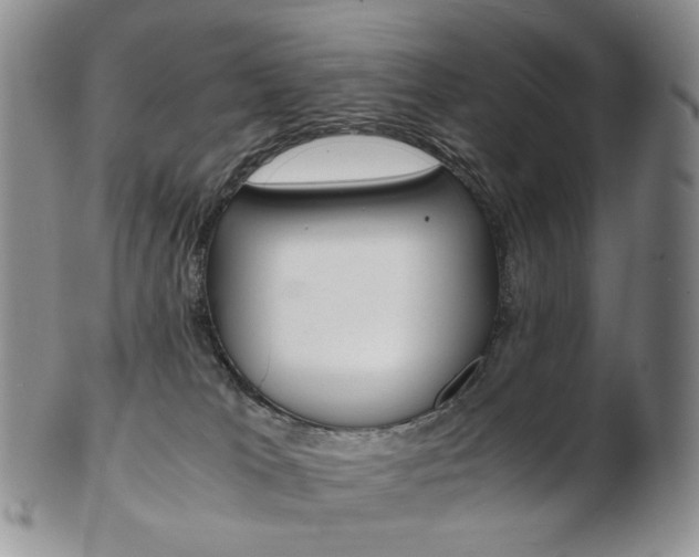 X0000103130037200808221051