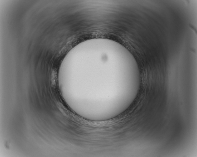 X0000103130038200808221051