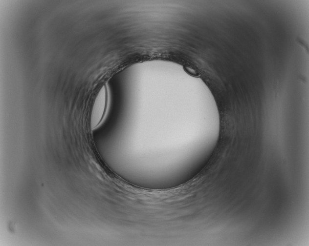 X0000103130039200808221051