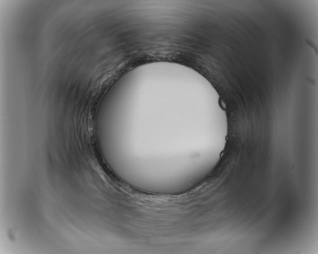 X0000103130040200808221051