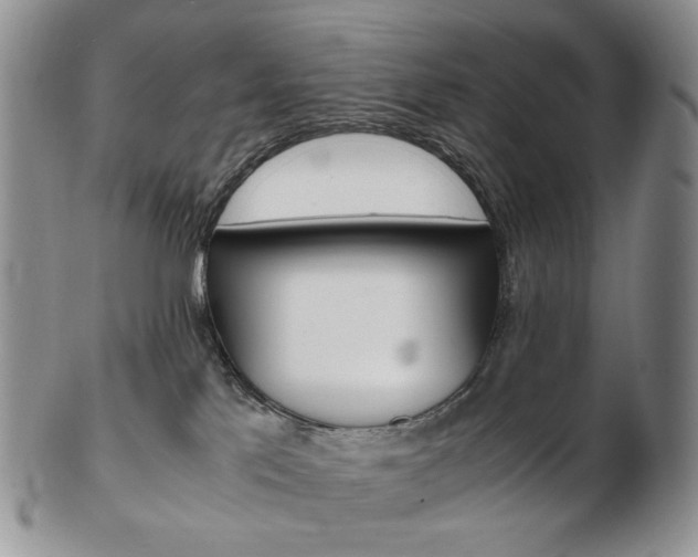 X0000103130041200808221051
