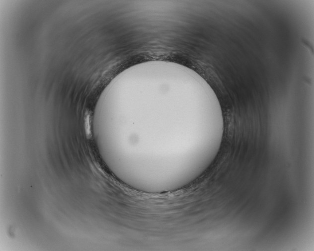 X0000103130042200808221051