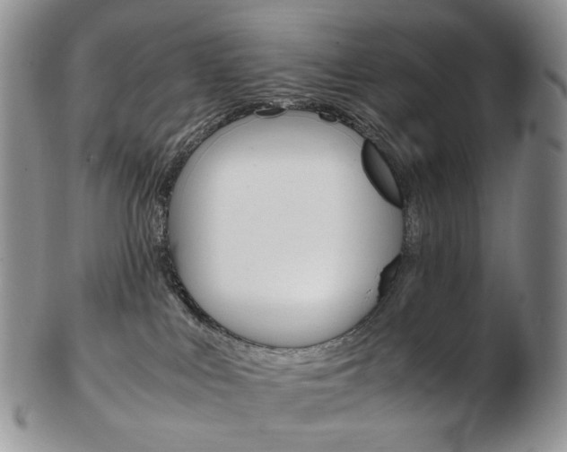 X0000103130043200808221051