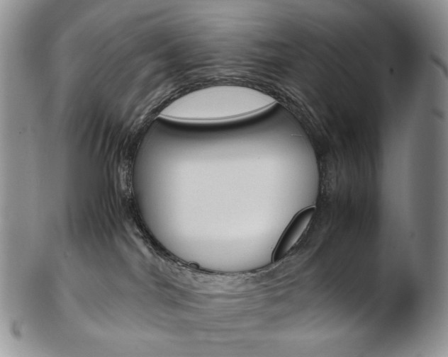 X0000103130044200808221051