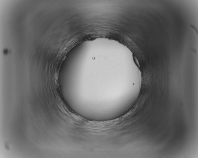 X0000103130045200808221051