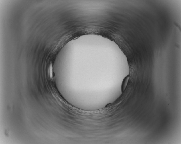 X0000103130046200808221051