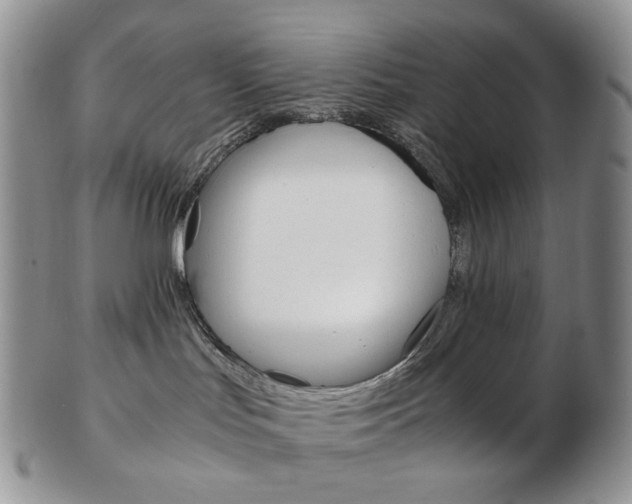 X0000103130047200808221051