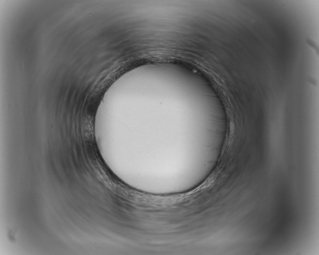 X0000103130048200808221051