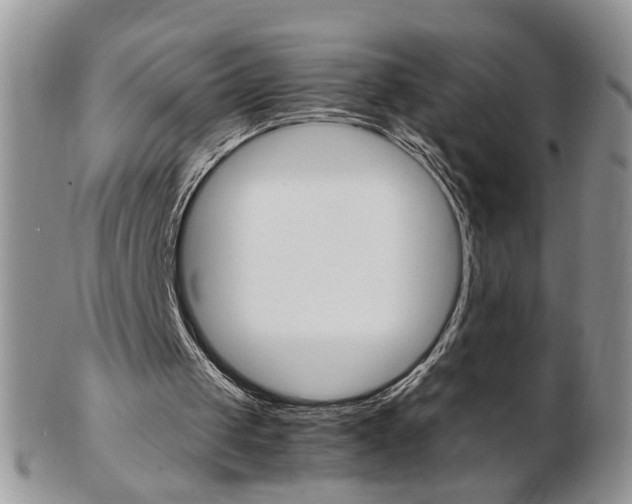 X0000103130049200808221051