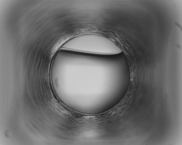 X0000103130052200808221051