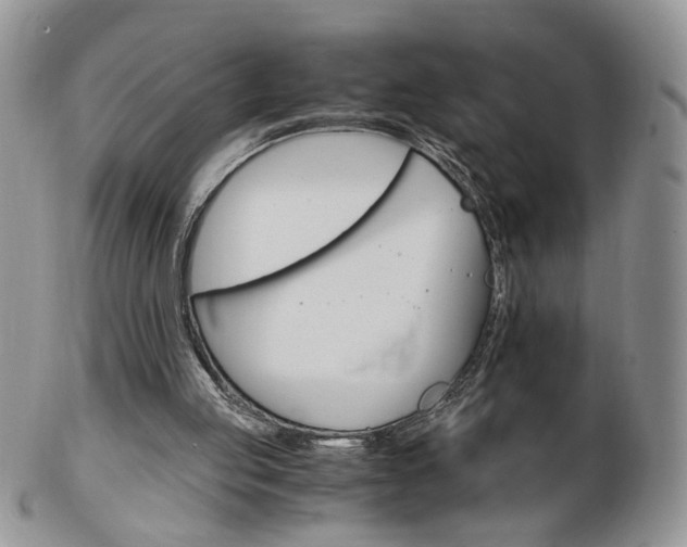 X0000103130053200808221051