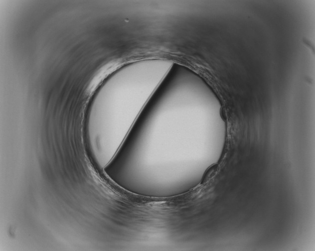 X0000103130054200808221051